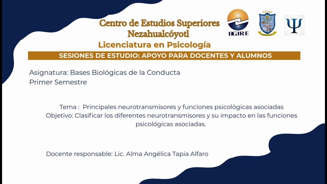 Principales neurotransmisores y funciones psicológicas asociadas