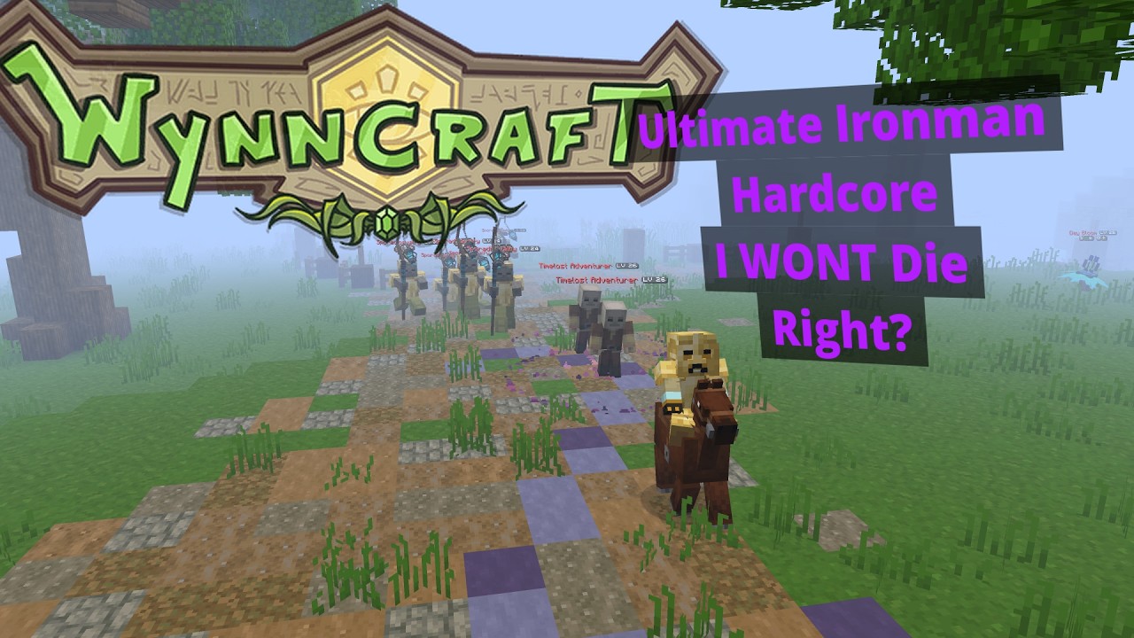 Wynncraft Hardcore Ultimate Ironman 2 4