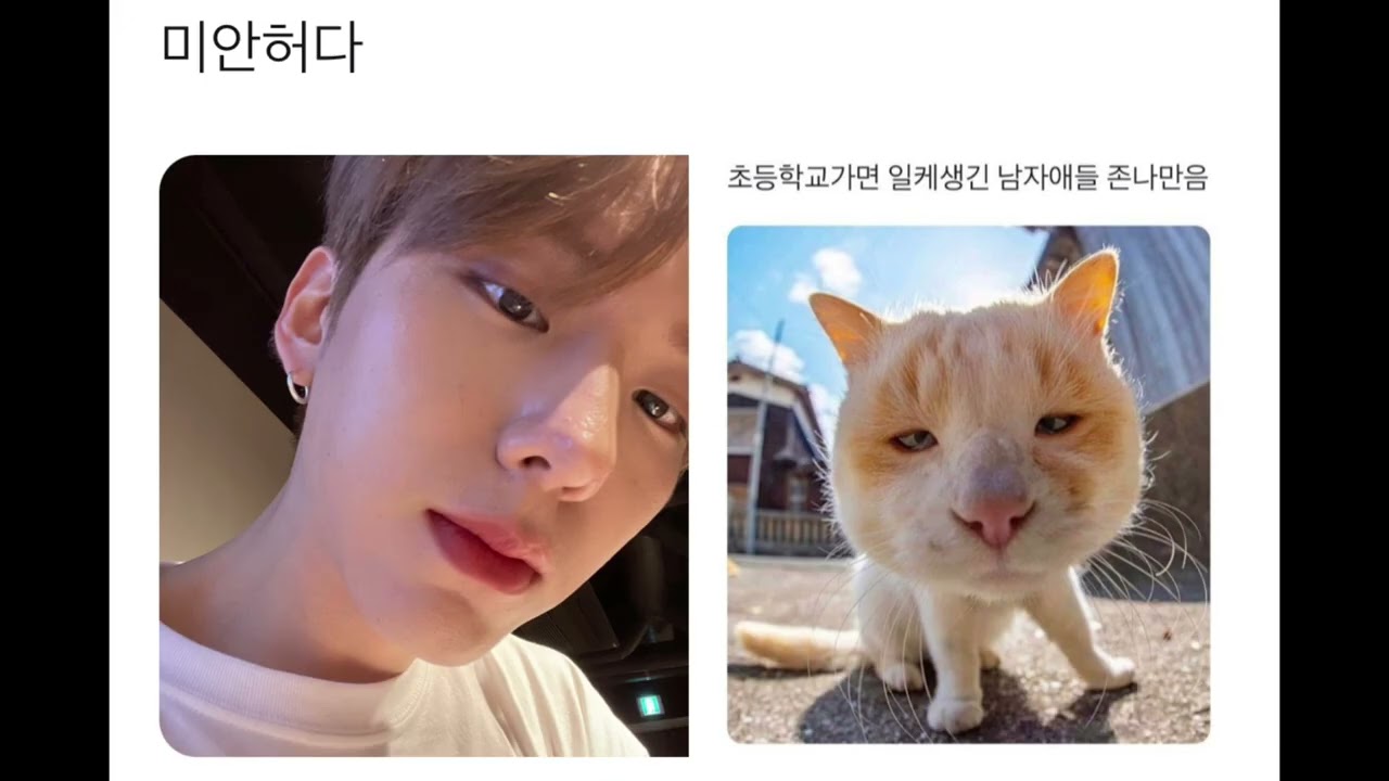 재밌는 몬베베 트위터