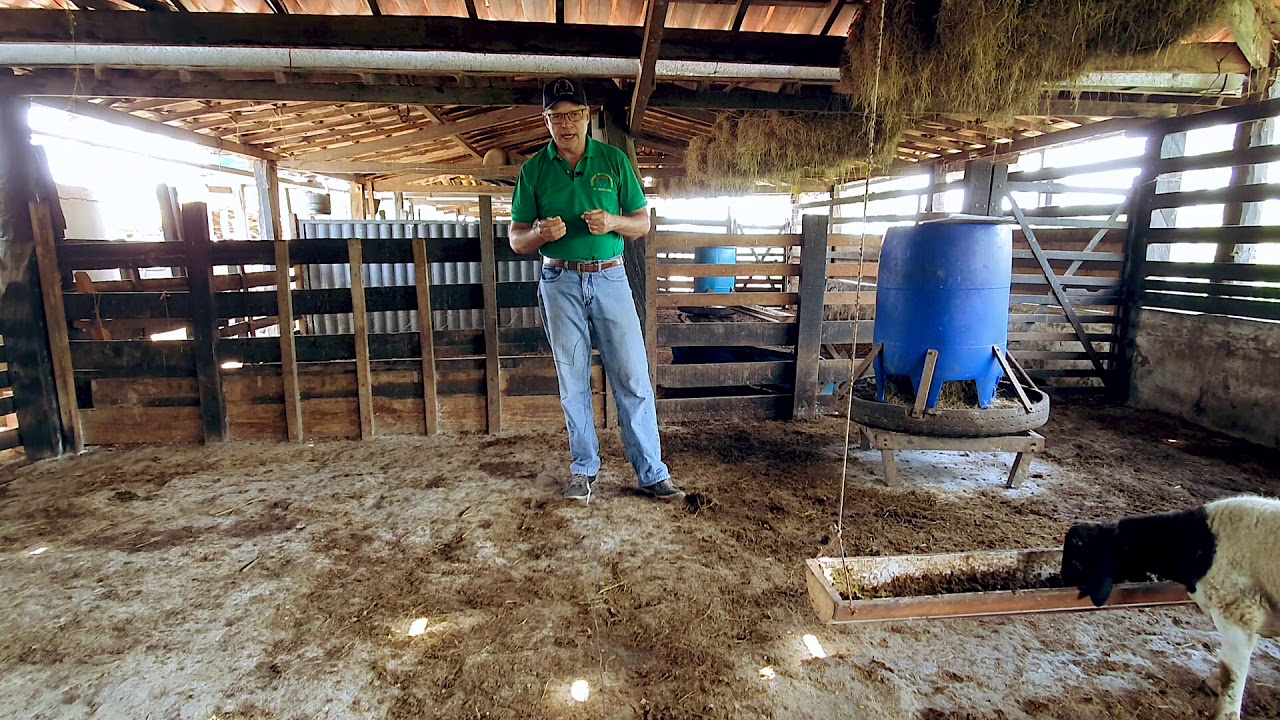 Curso, COMO CRIAR OVINOS E CAPRINOS DE FORMA: SIMPLES, EFICIENTE E LUCRATIVA.