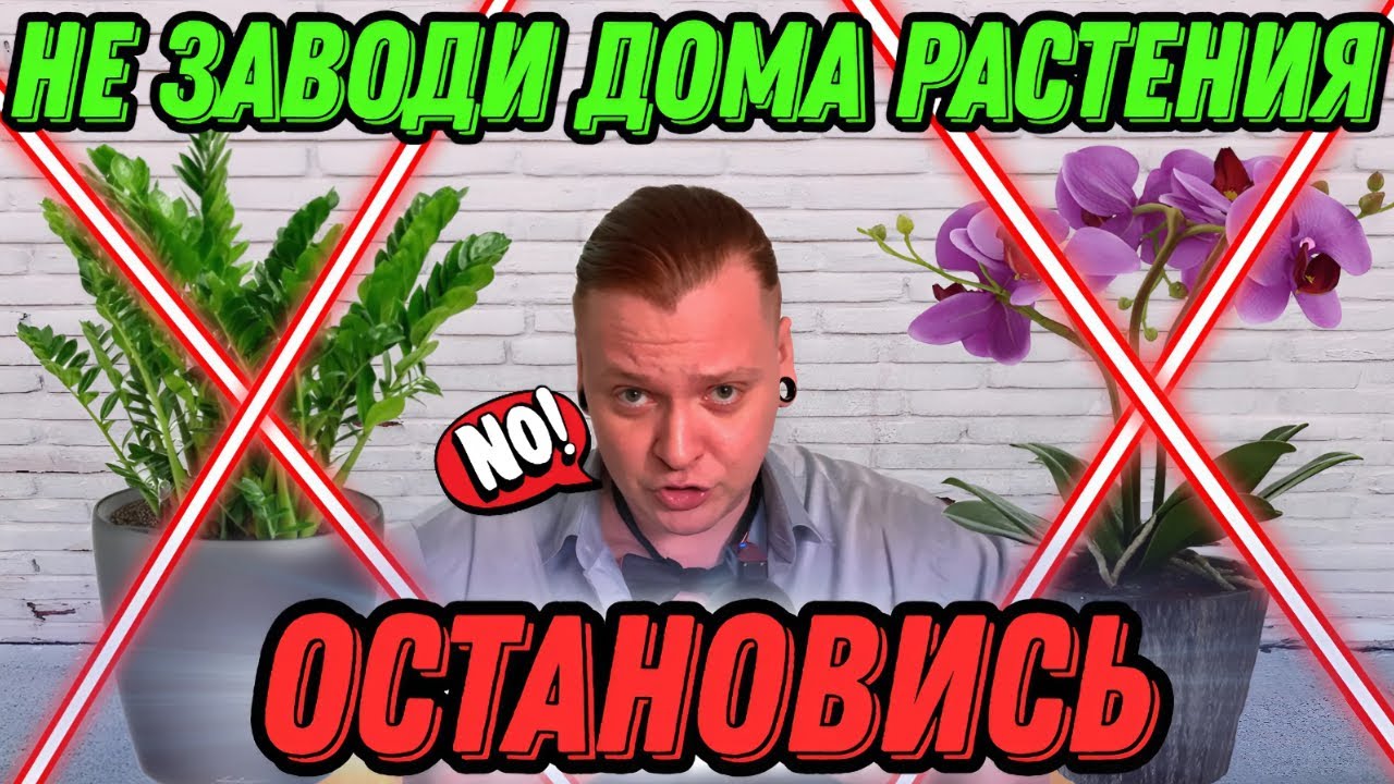 НЕ ЗАВОДИ РАСТЕНИЯ ДОМА, ПОКА НЕ ПОСМОТРИШЬ ЭТО ВИДЕО.