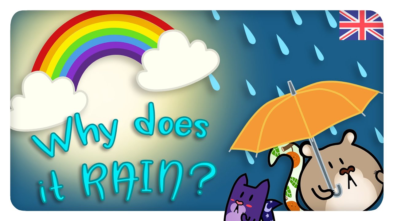 🌧 WATER CYCLE explained💧WHY does it RAIN? ☀️ Rainbow SECRETS 🌈 Gato Rainbow & Gata Moon