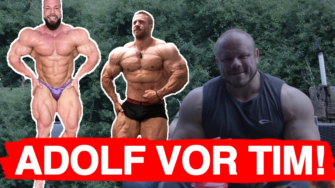 TIM is ABSOLUT DICHT! Reaktion auf Tims Form - Vergleich zu Adolf