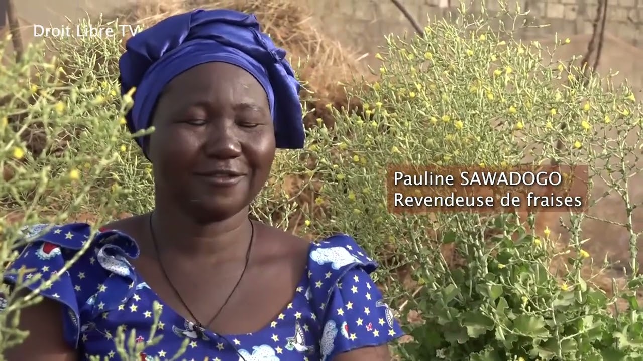 La fraise, ce délicat fruit des maraîchers au Burkina Faso