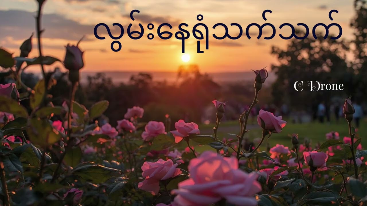 လွမ်းနေရုံသက်သက်-C Drone
