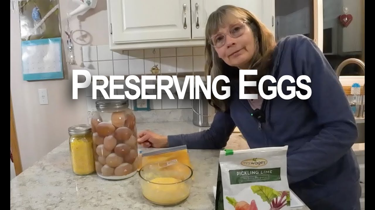 Preserving eggs