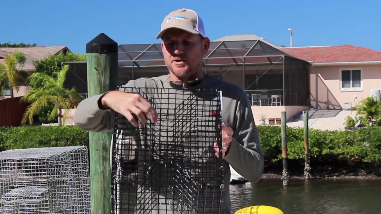 How To Use A Pinfish Trap