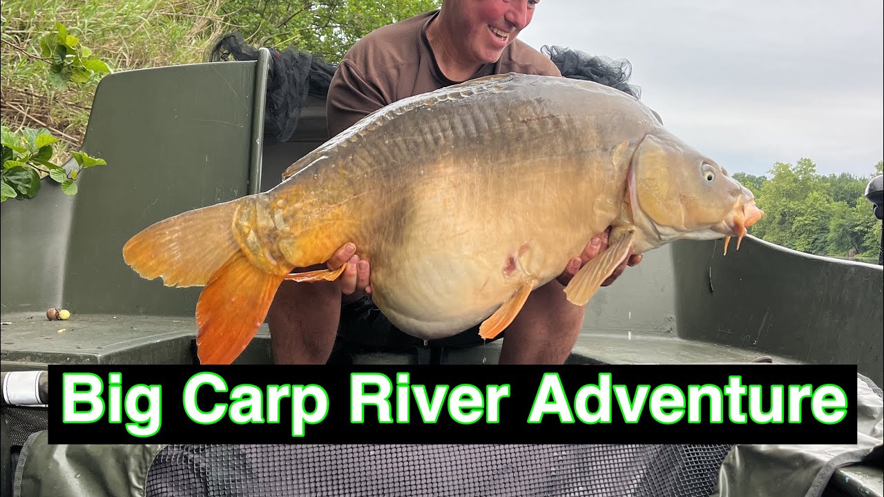 Small boat Big river carp adventure 😀🎣