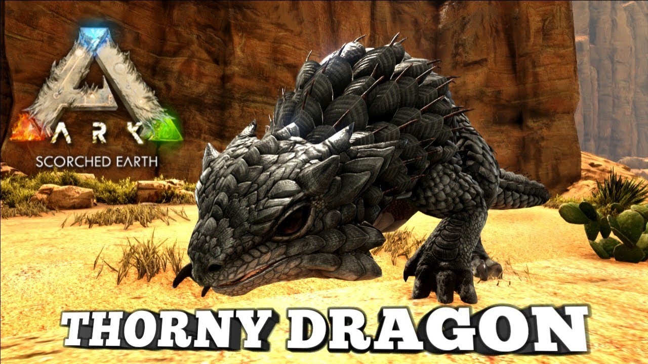 Taming A Thorny Dragon | Ark Survival Evolved | Scorched Earth