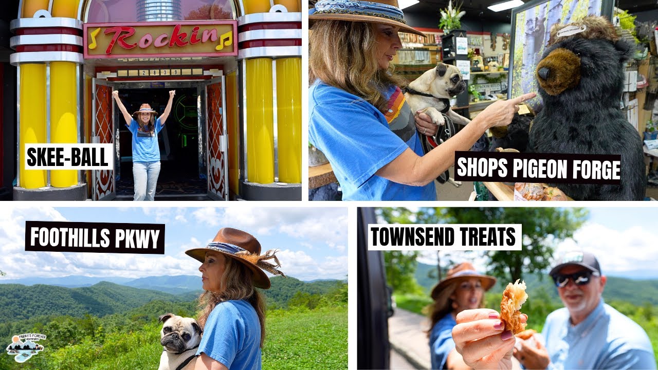 We Took A Fun Road Trip in The Smoky Mountains with our Pug!