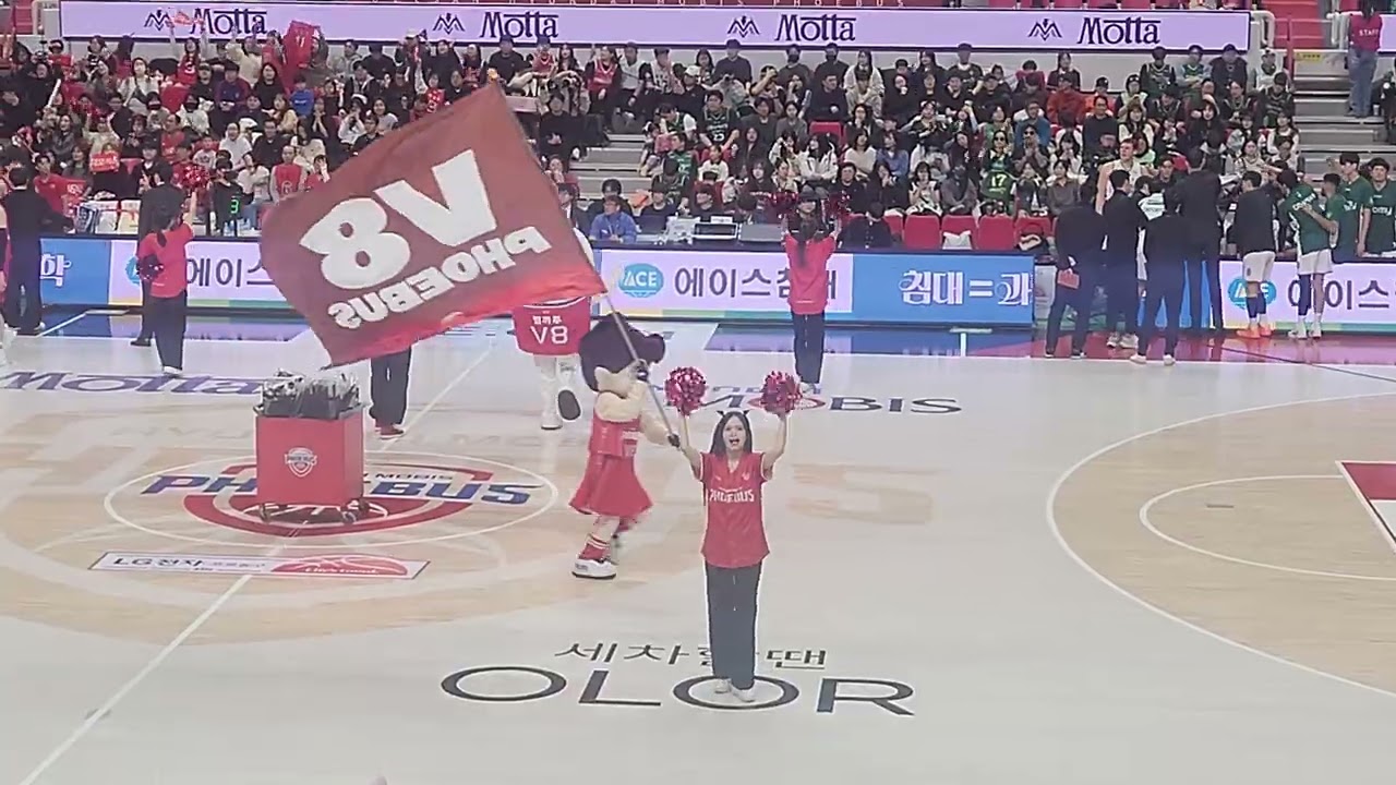 울산 동천체육관 현대 모비스 원주bd 농구경기