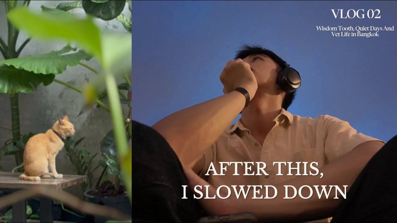 Living Alone in Bangkok | Wisdom tooth, outdoor cinema, cafe
