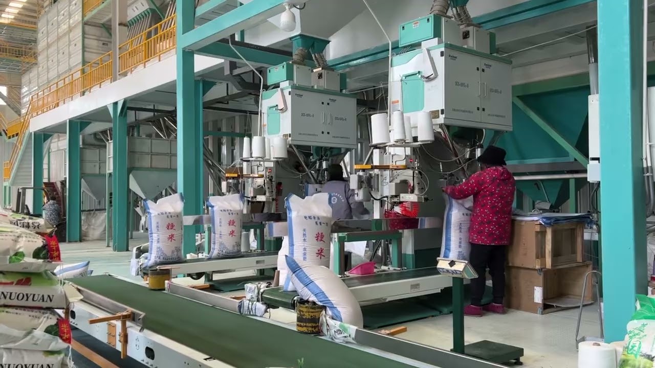 DCS 50FE2 B Grain Packaging Scale Bagging Machine 10 50kg - ewinall.com