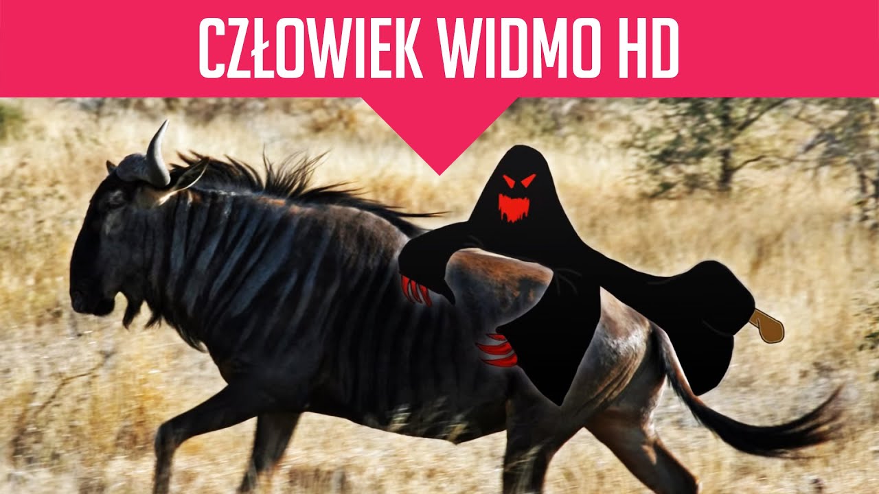 Człowiek Widmo HD