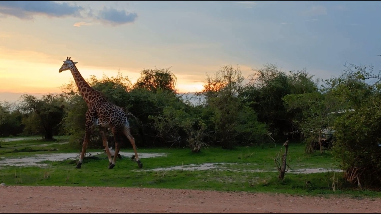 Nairobi to Victoria Falls With G Adventures