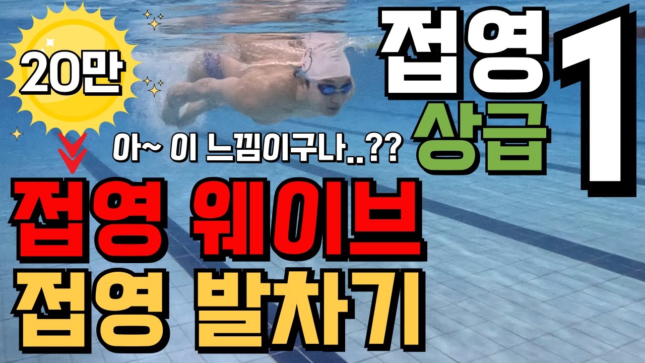 [접영1편- 상급] 