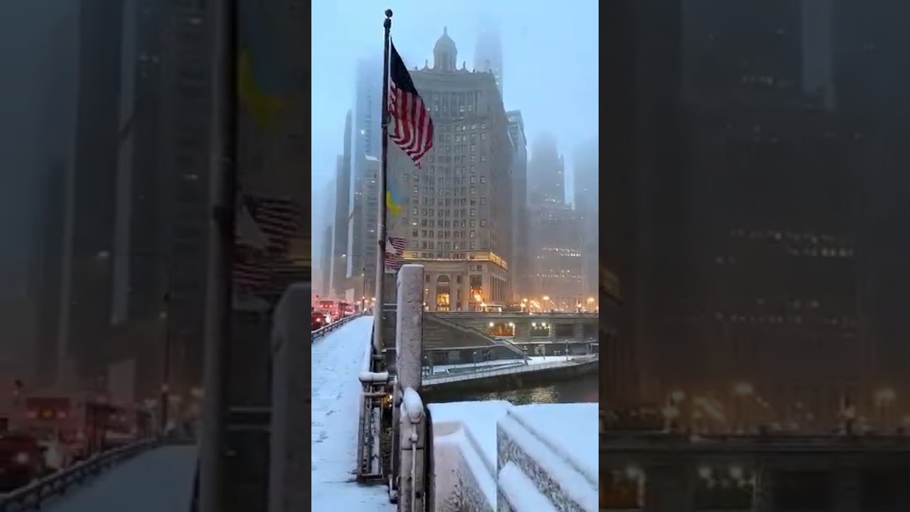 🌹 Magic Winter in Chicago 