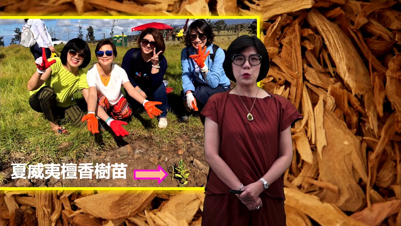 夏威夷檀香木 Monica全球視訊 2020 11 26