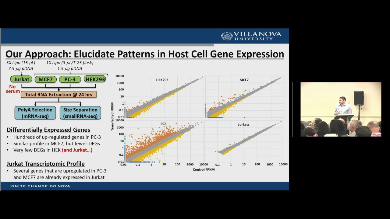 Investigating the Relationship between the Host Cell Transcriptome and Transfection Efficiency
