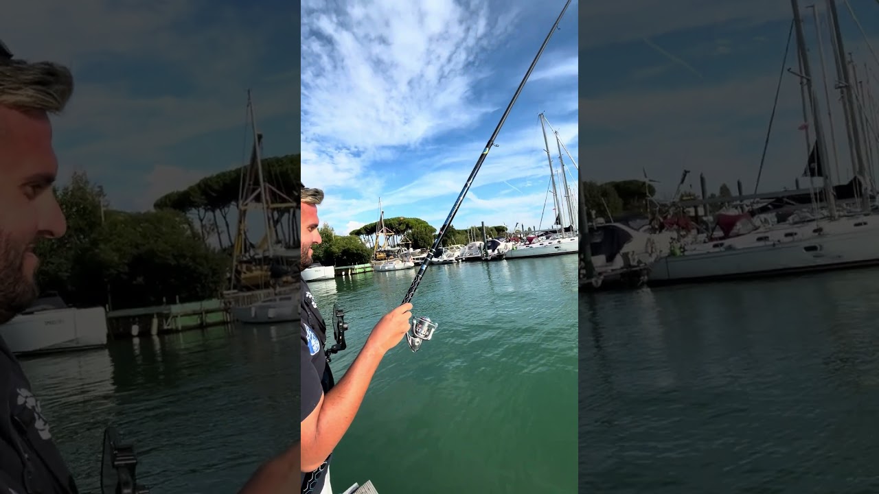 Ne Vedremo Delle Belle 🤩 🎣 #alepescatuscany #muggine #cefalo