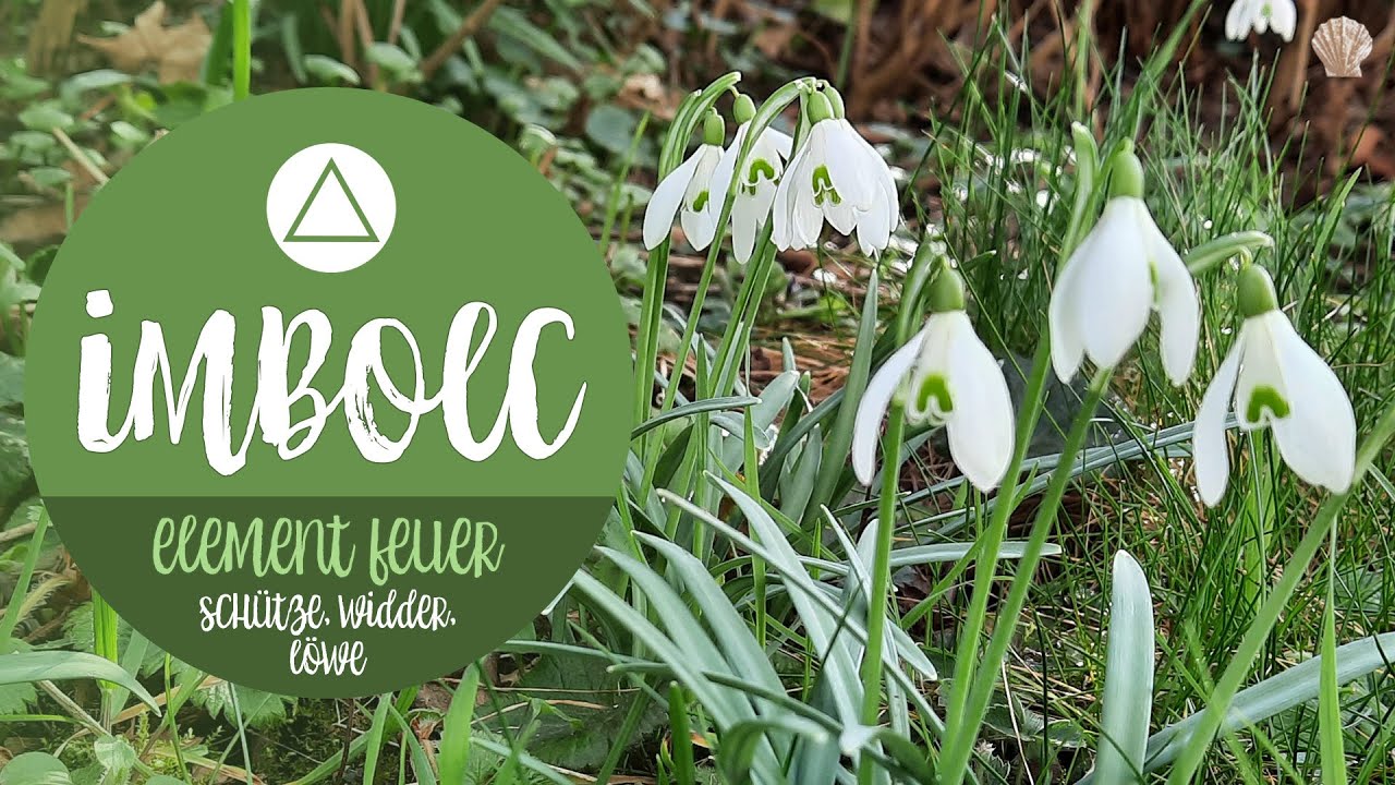 IMBOLC 2026 🌷 Tarot-Legung für das Feuer-Element | Schütze · Löwe · Widder