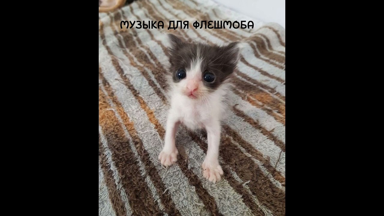 //ГРУСТНАЯ МУЗЫКА ДЛЯ ФЛЕШМОБА//
