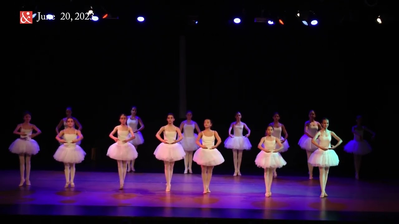1007  Waltz of the Snowflakes HDC