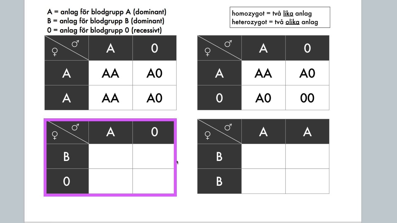 Korsningsschema: Anlag för blodgrupper