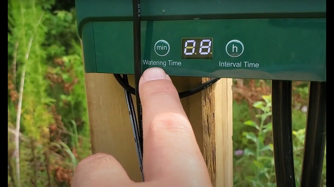 Solar irrigation full kit for under $100 on Amazon?! 20 blueberry bush install and review