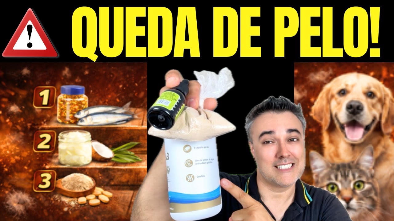 🔥3 dicas ❌ACABAR COM QUEDA DE PELO em CÃES E GATOS ✅FUNCIONA!