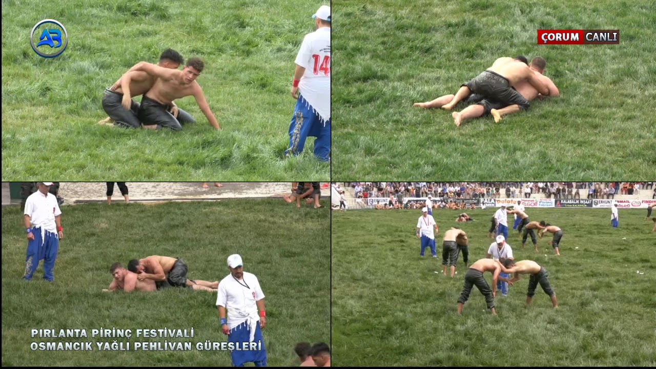 Pırlanta Pirinç Festivali Osmancık Yağlı Pehlivan Güreşleri - Canlı Yayın
