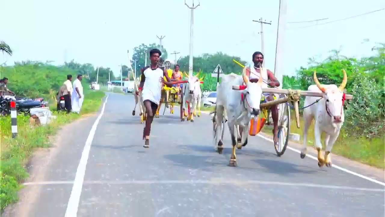 live மணக்கரை பூஞ்சிட்டு 2-ம் சுற்று