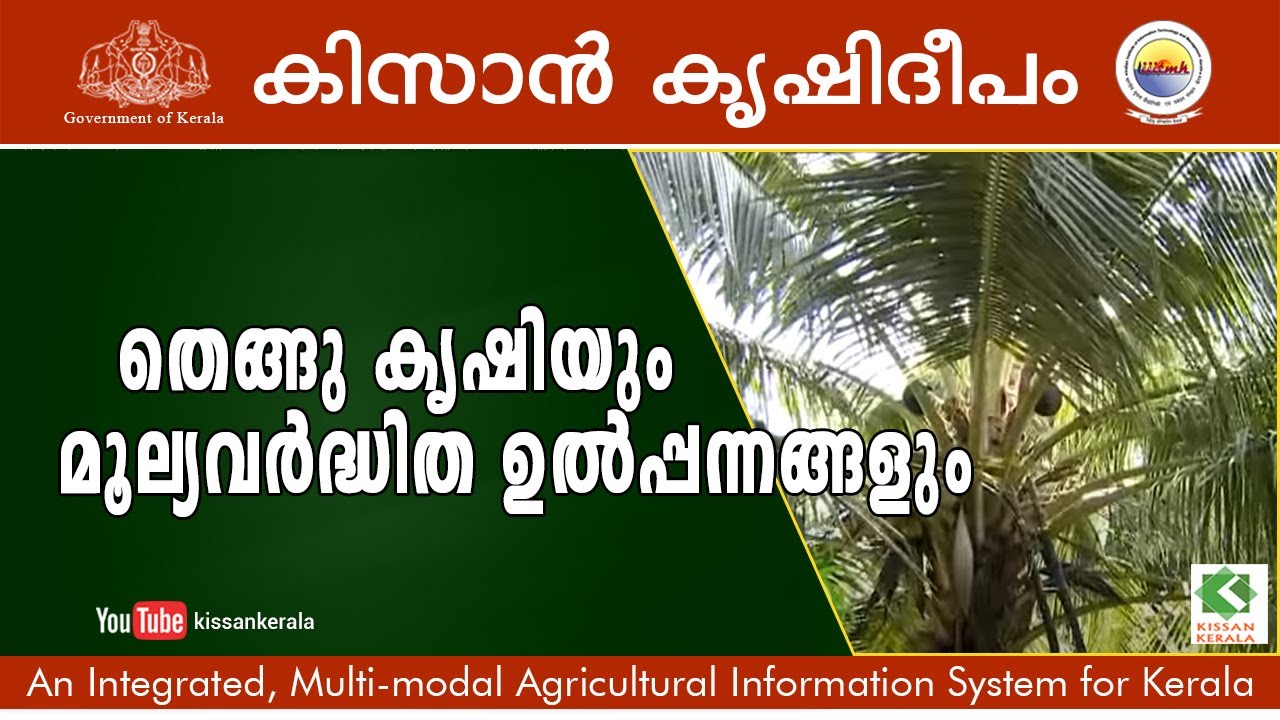 potentials of coconut cultivation and value addition process of coconut