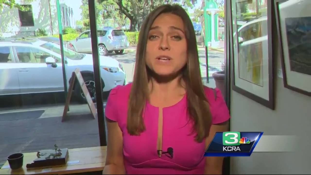 Thieves break into Lodi gallery, steal priceless $3K lamp