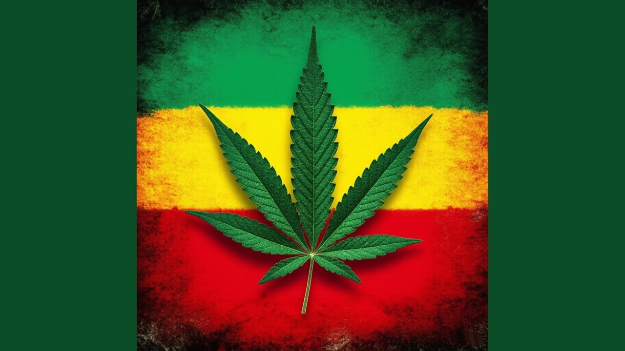 Roots and Culture