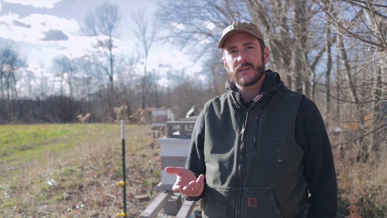 Winter Hive Management