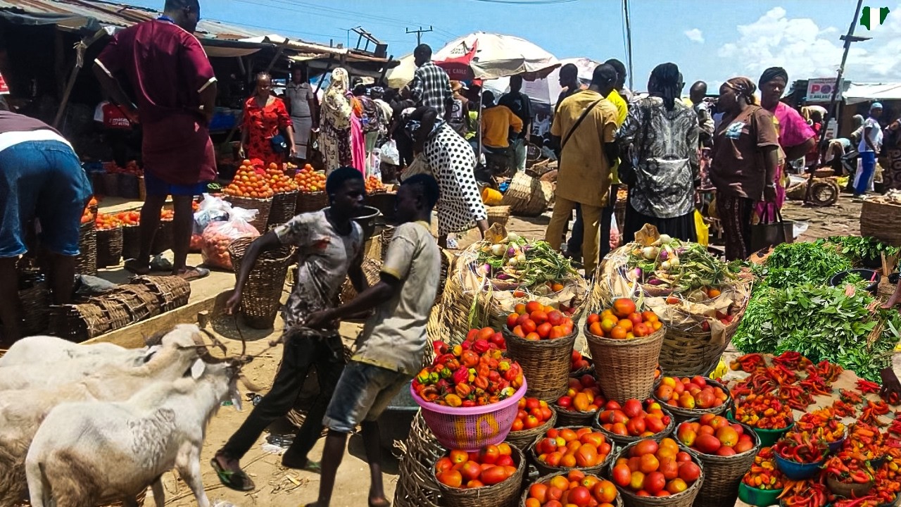 Shopping for Ileya 2025. Cost of Ram, Goat and Foodstuff at Kara Market Ibeju Lekki, Lagos Nigeria