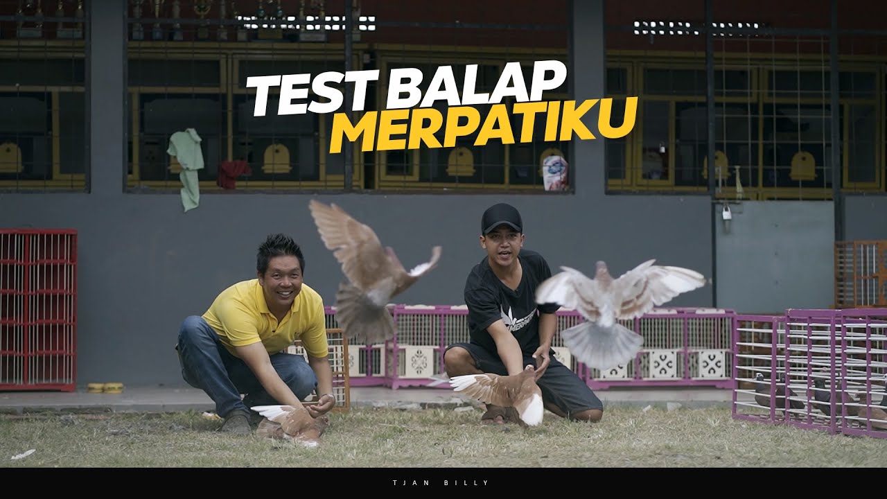 TEST BALAP TERBANG MERPATI PIYIK FEAT MERPATIKU | SIAPA PEMENANGNYA ?