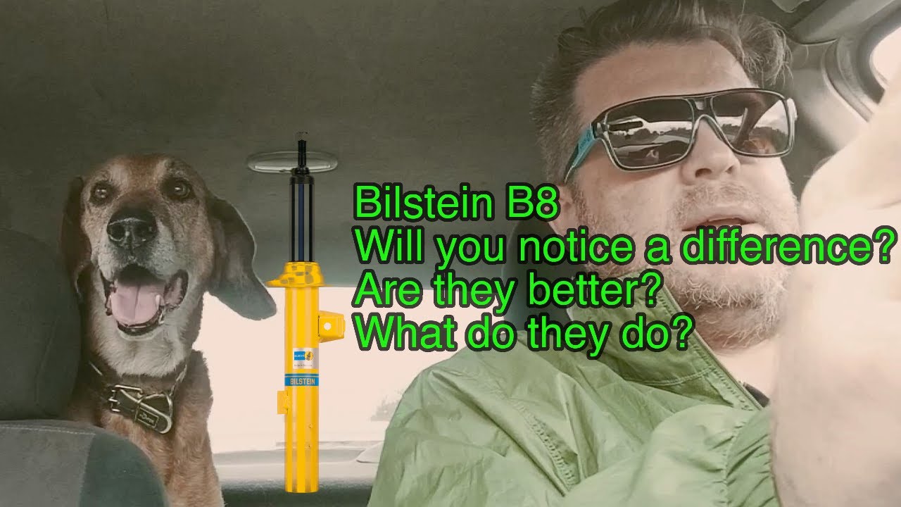Bilstein B8 — стоят ли они своих денег?