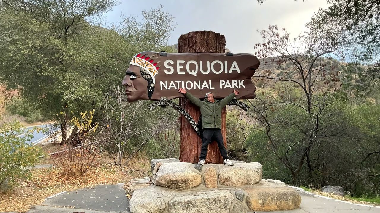 SEQUOIA'S TALLEST TREES - Part 3 #sequoianationalpark #tree #california