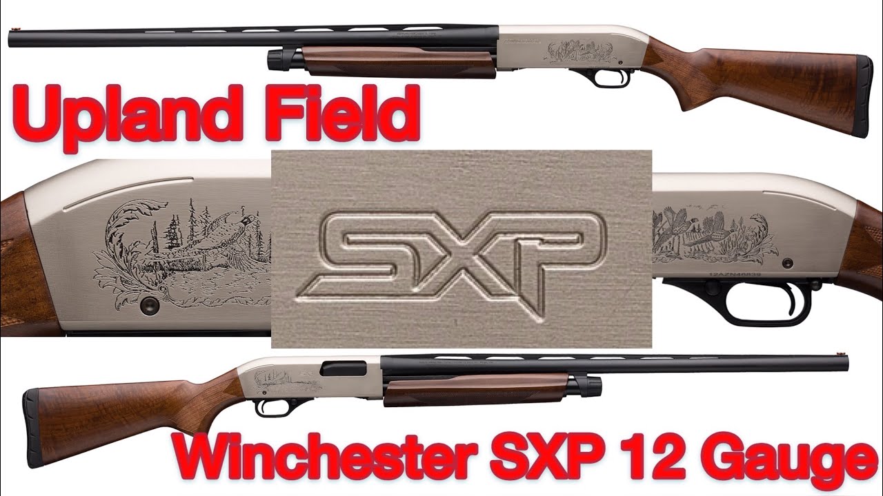 Winchester SXP 12 Gauge | Upland Field | Распаковка | Разборка и сборка в полевых условиях