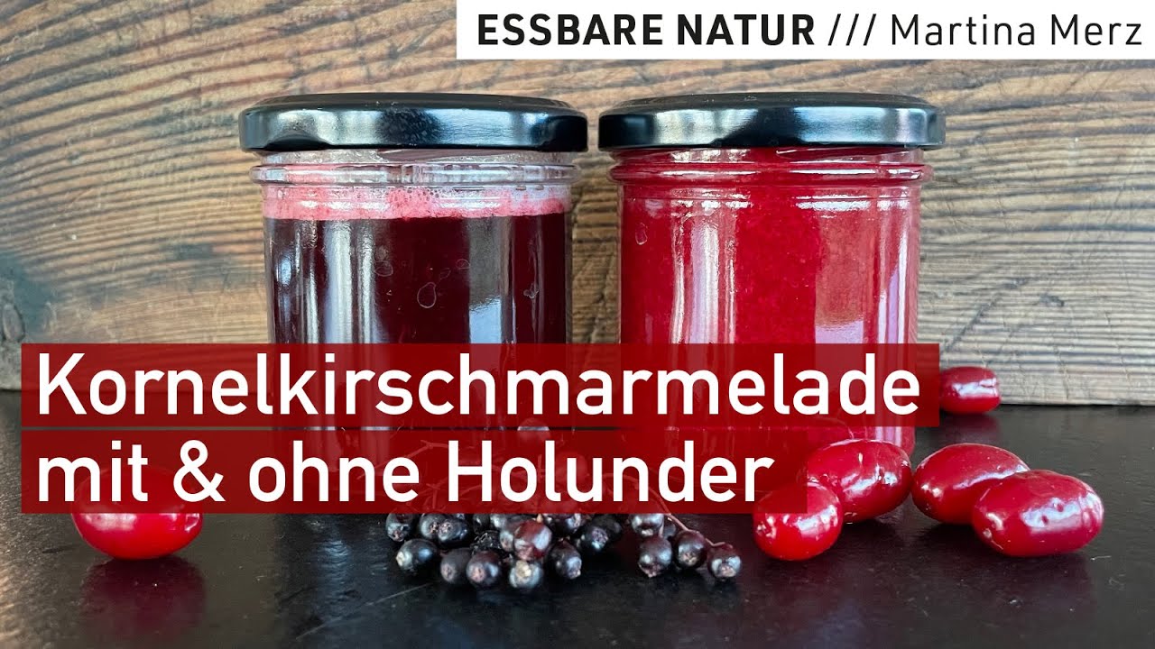Ergiebig: Köstliche Marmelade und Wildfruchtgelee aus Kornelkirschen mit & ohne Holunder