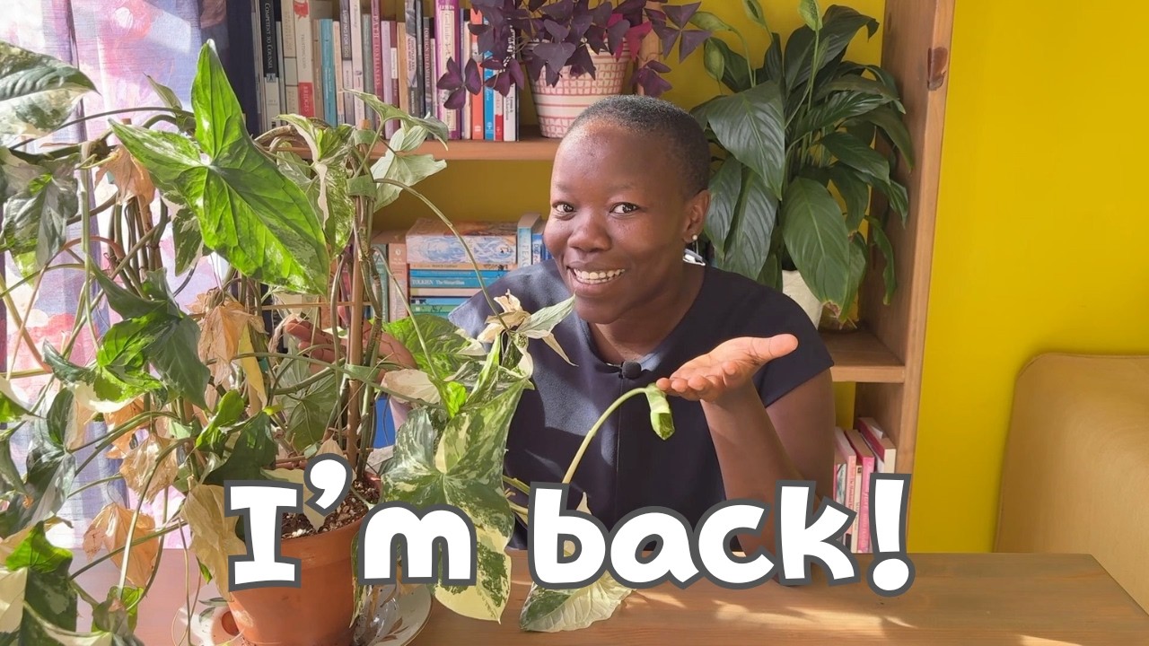 I'm back!