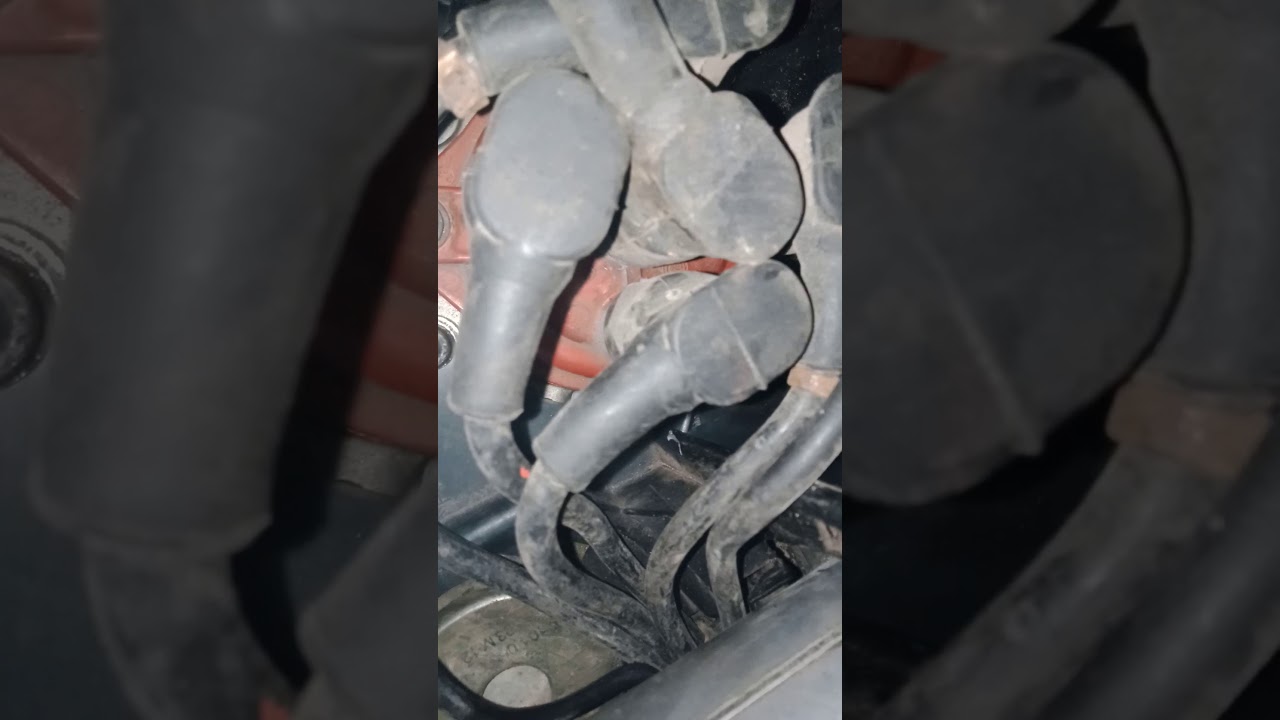 кабан стучит м119 4.2