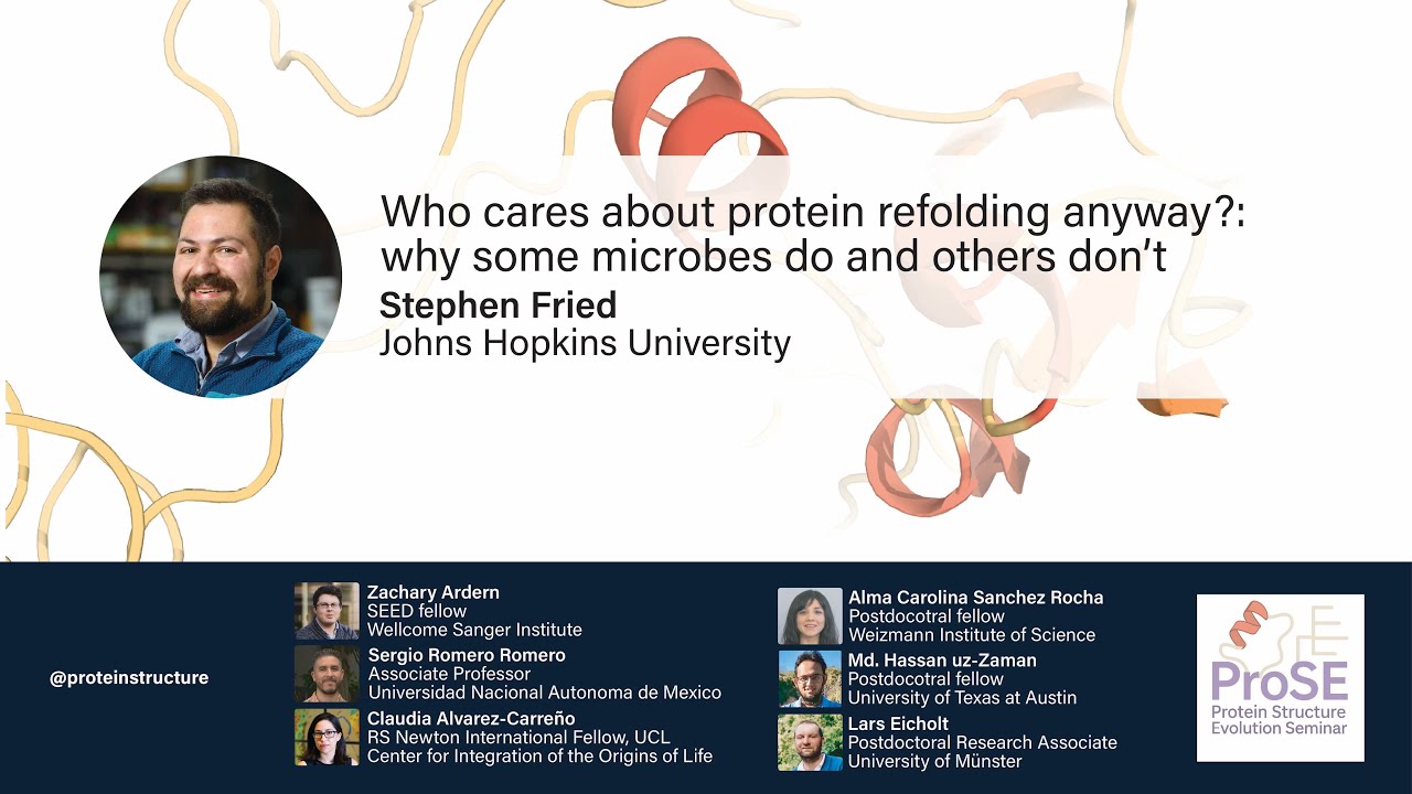 Protein Structure Evolution Seminar - Stephen Fried