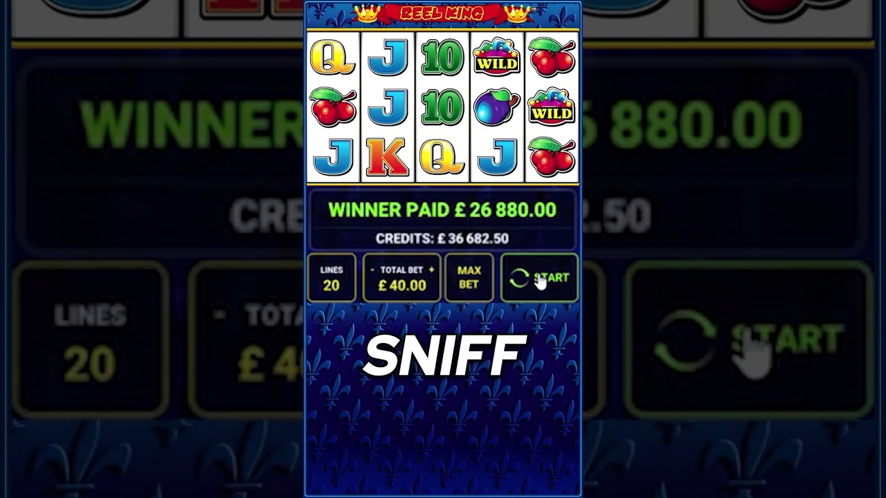 Bandit gra na automacie Reel King w High Stakes, żebyś Ty nie musiał! #thebandit #slot