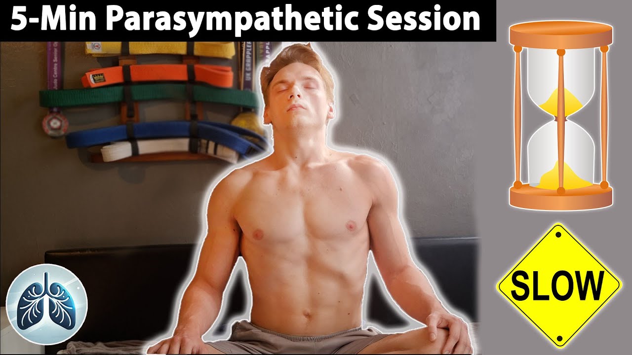 5-Minute Guided Breathwork Session - Ease Stress & Activate Parasympathetic Nervous System  NO MUSIC