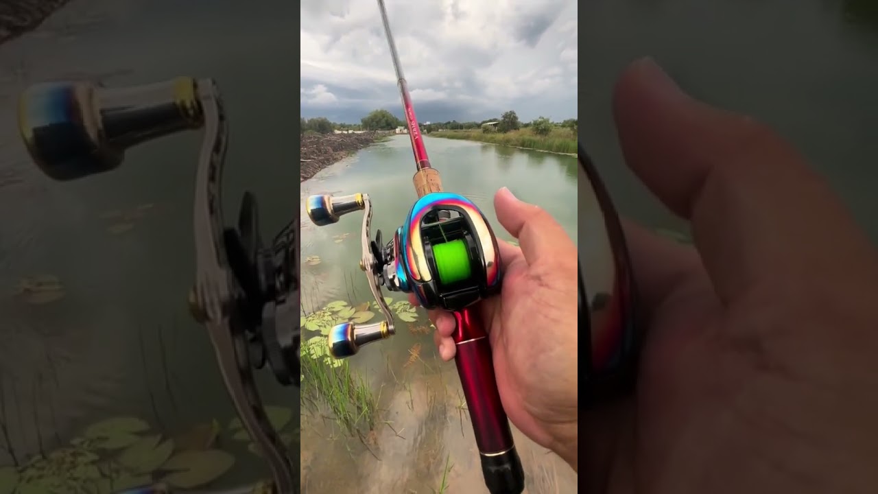 Antares DC MDHG 2025 #shimano #antaresdc #lure #lurecaloc