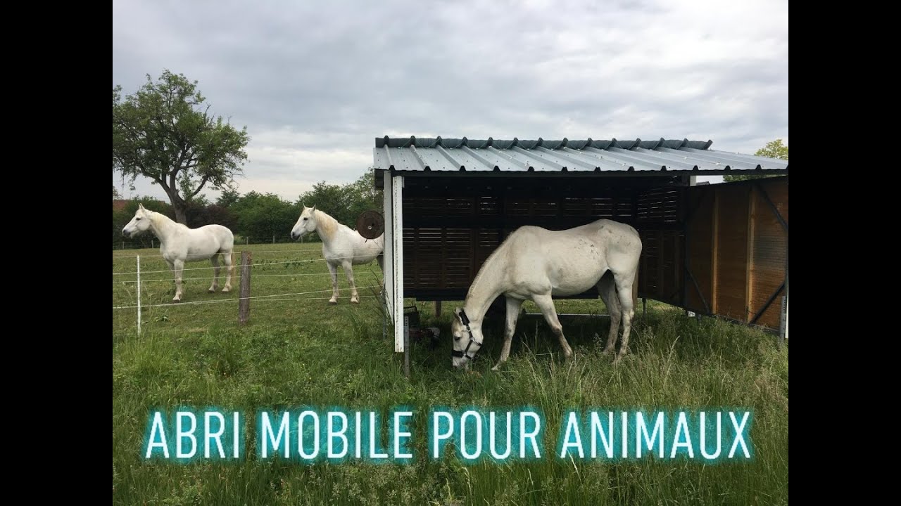 Abri mobile pour animaux