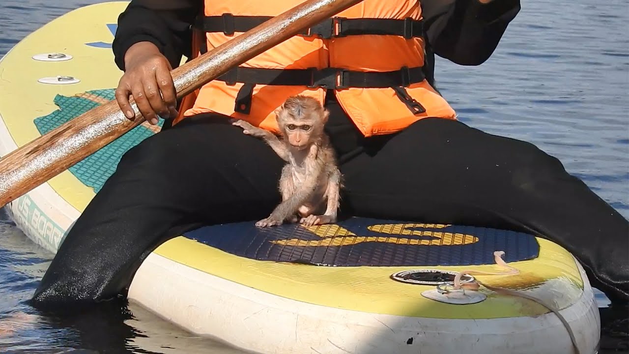 Poor Jing Jing Is Scared Of Kayaking!